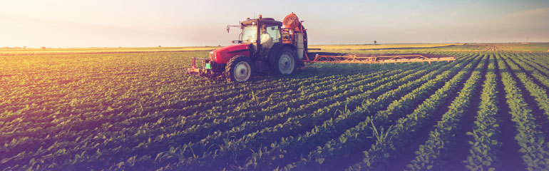 mujeres-en-la-agricultura-como-agentes-de-cambio